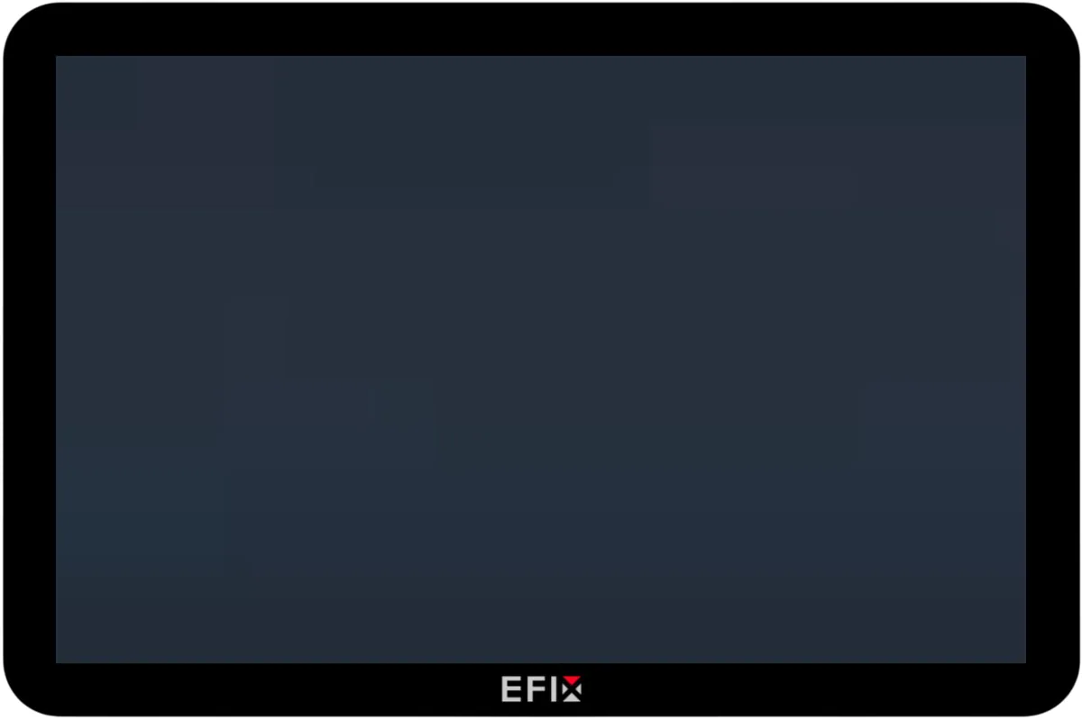 Дисплей EFIX ESD-2